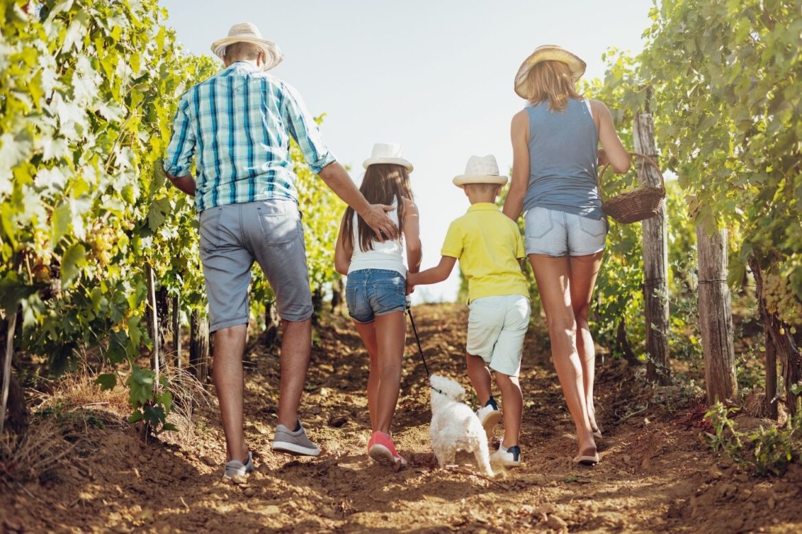 Comment les jeunes reprennent les domaines familiaux avec une approche durable