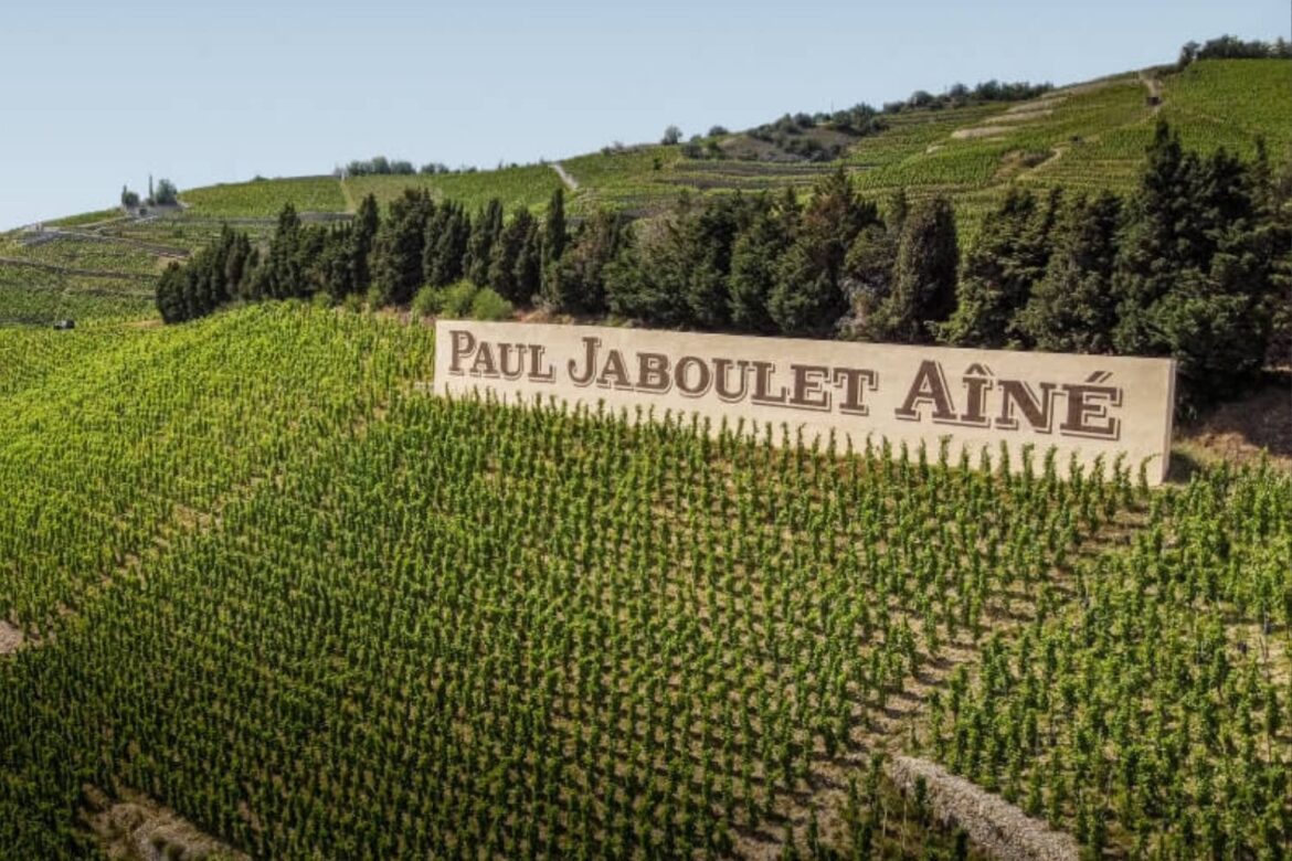 Maison Paul Jaboulet Aîné : Histoire, Vins et Expertise du Rhône