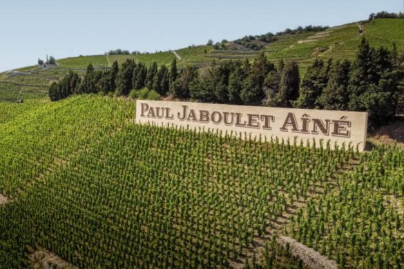 Maison Paul Jaboulet Aîné: History, Wines, and Expertise from the Rhône Valley
