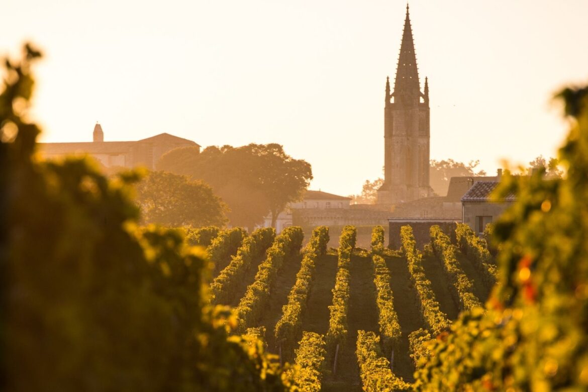 Les origines des grands crus bordelais