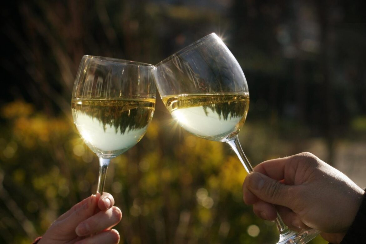 Est-ce que le vin blanc peut vieillir ?